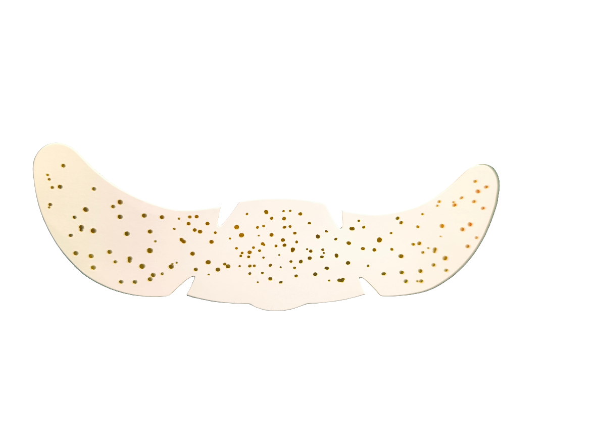 Constellations pailletées