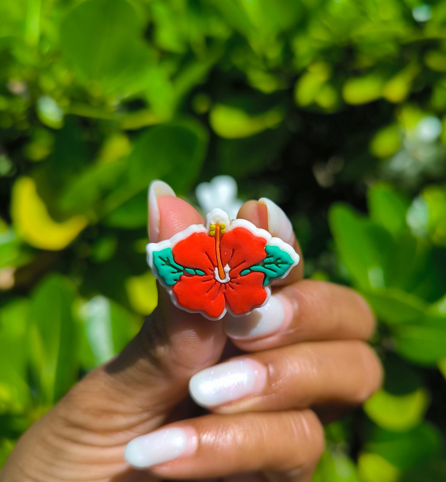 Chichis a crocs Karibéyen sé sa nou yé - A l'unité