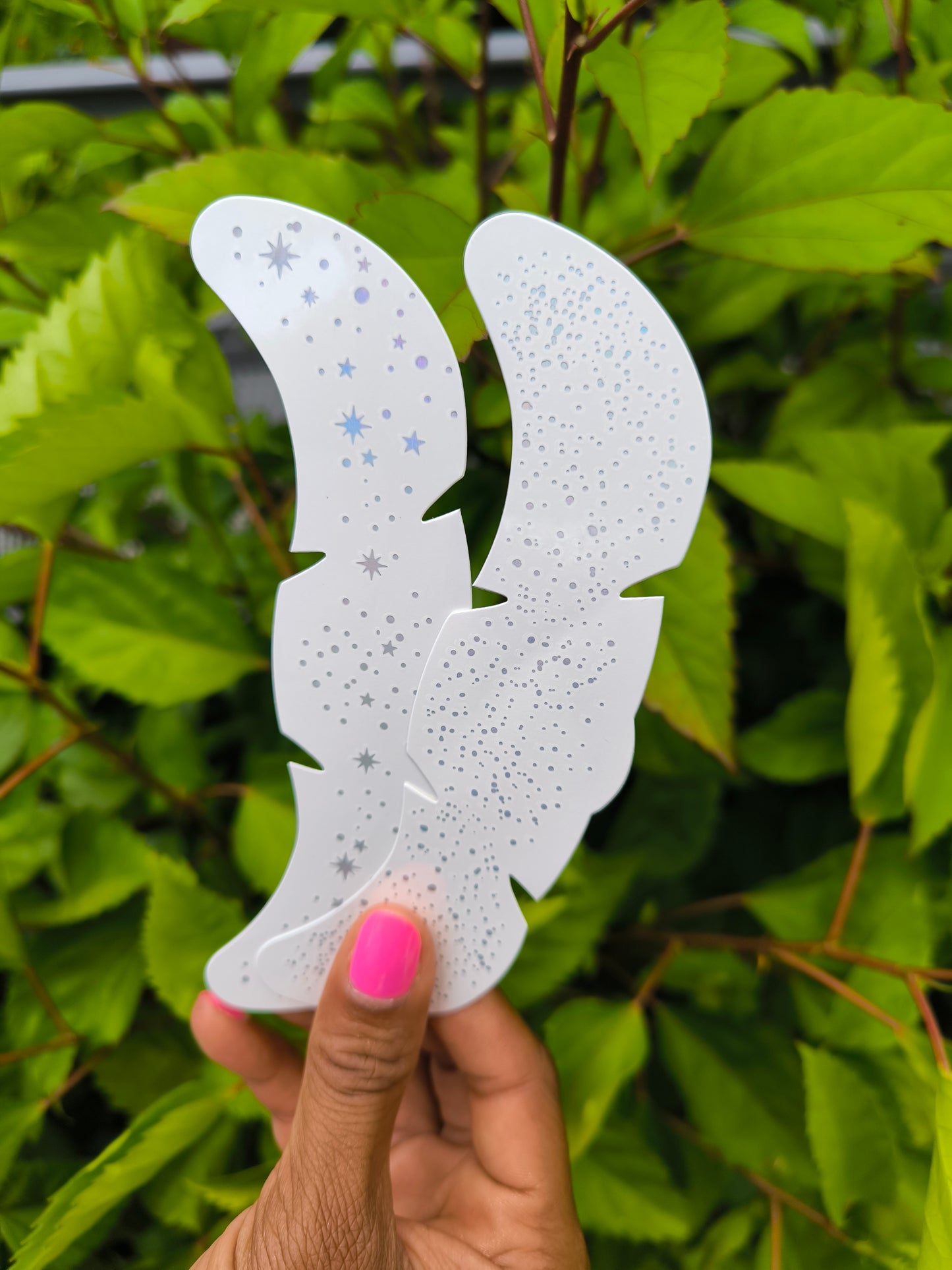 Constellations pailletées