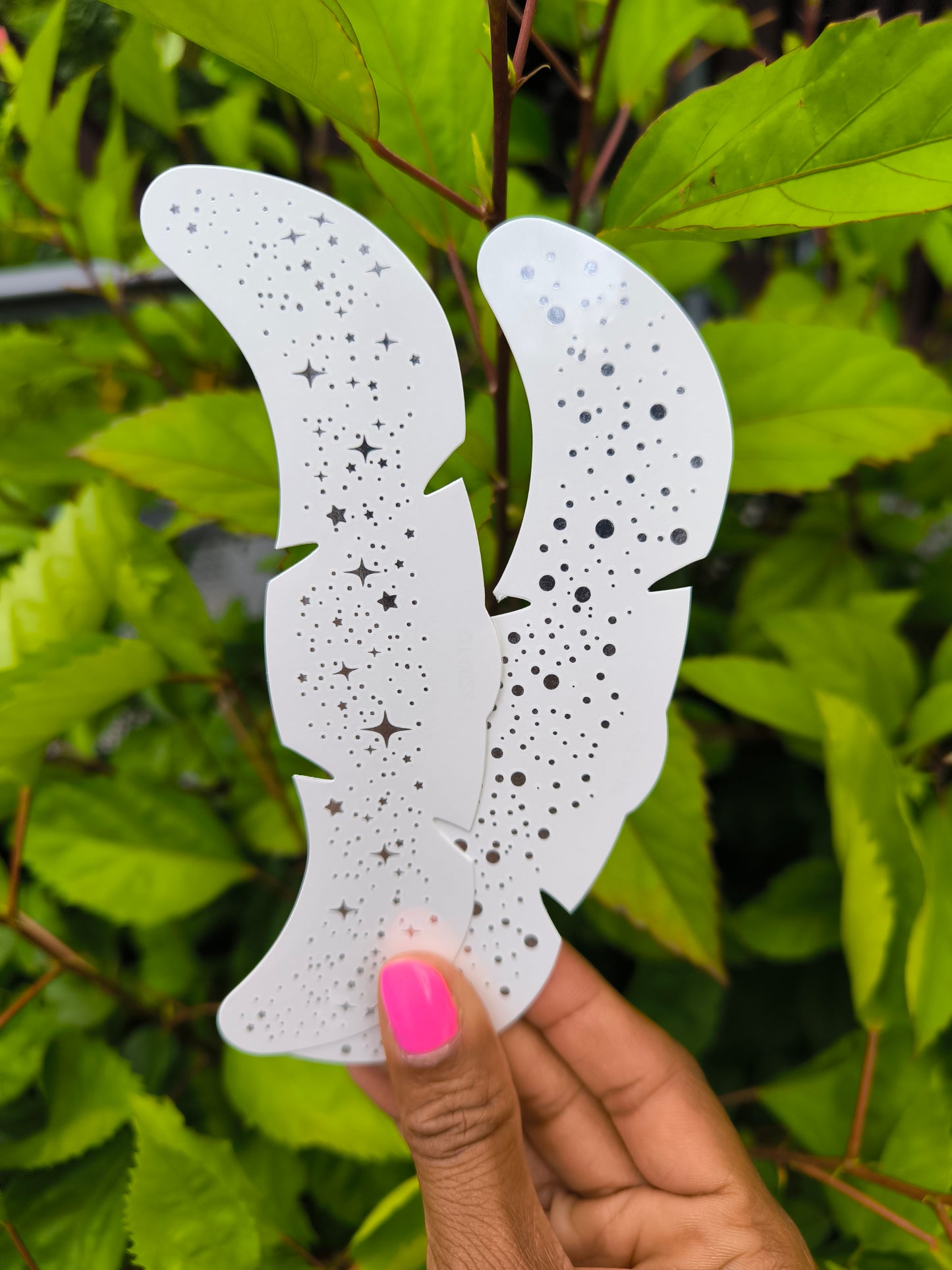 Constellations pailletées