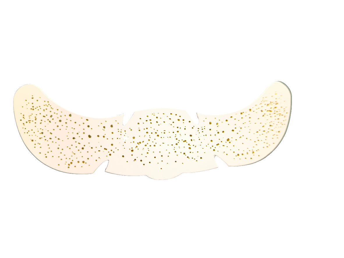 Constellations pailletées
