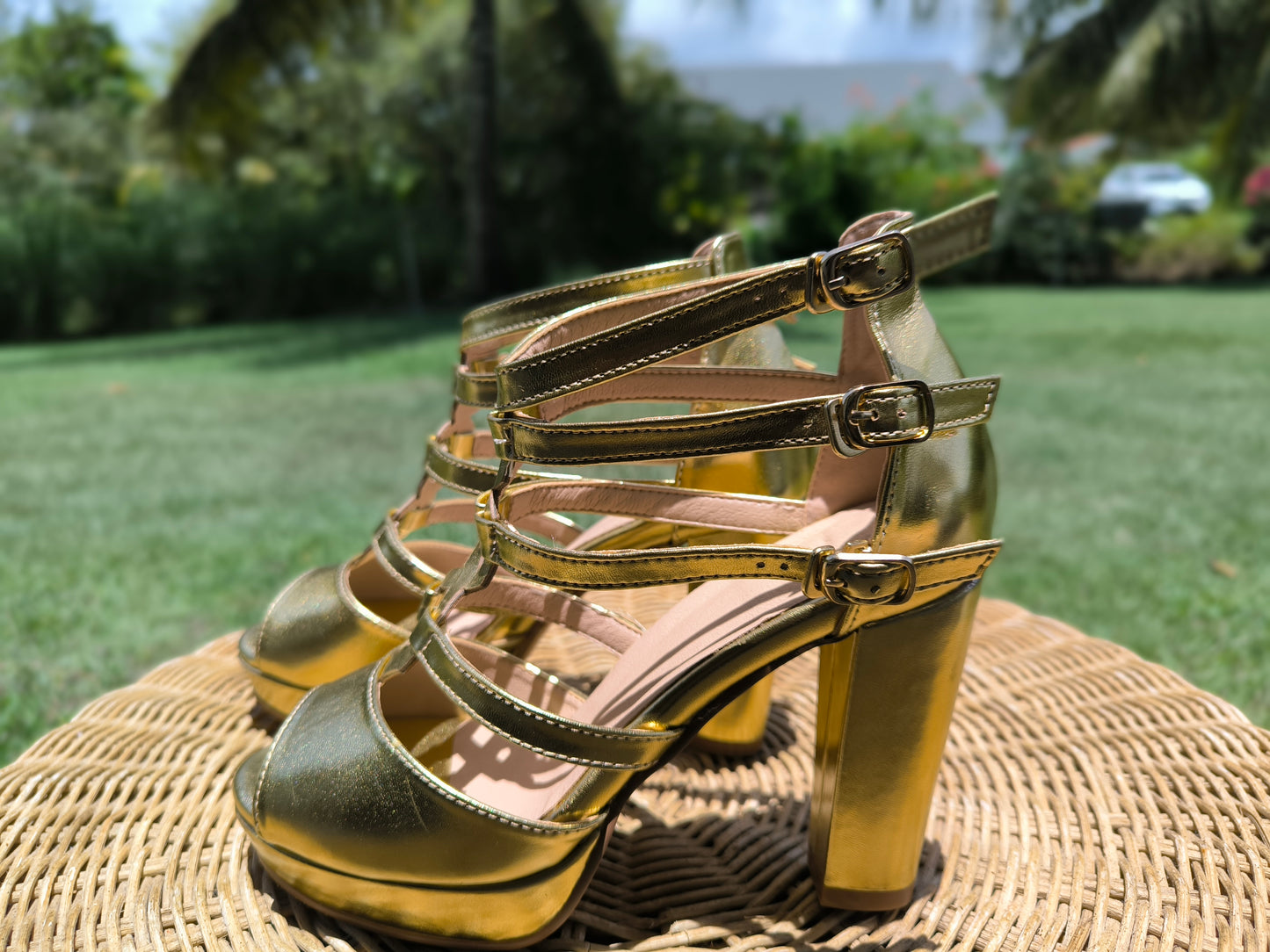 Chaussure de carnaval, disponible en pré-commande