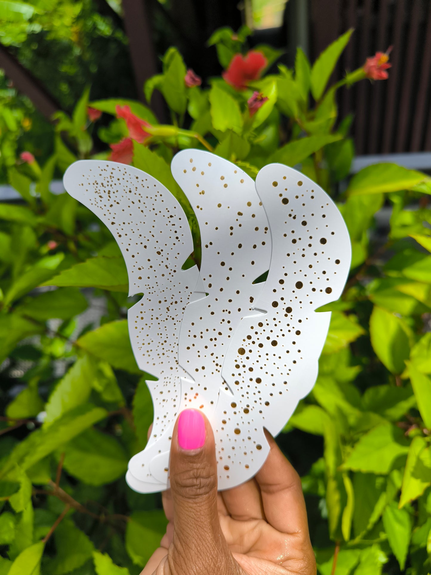 Constellations pailletées