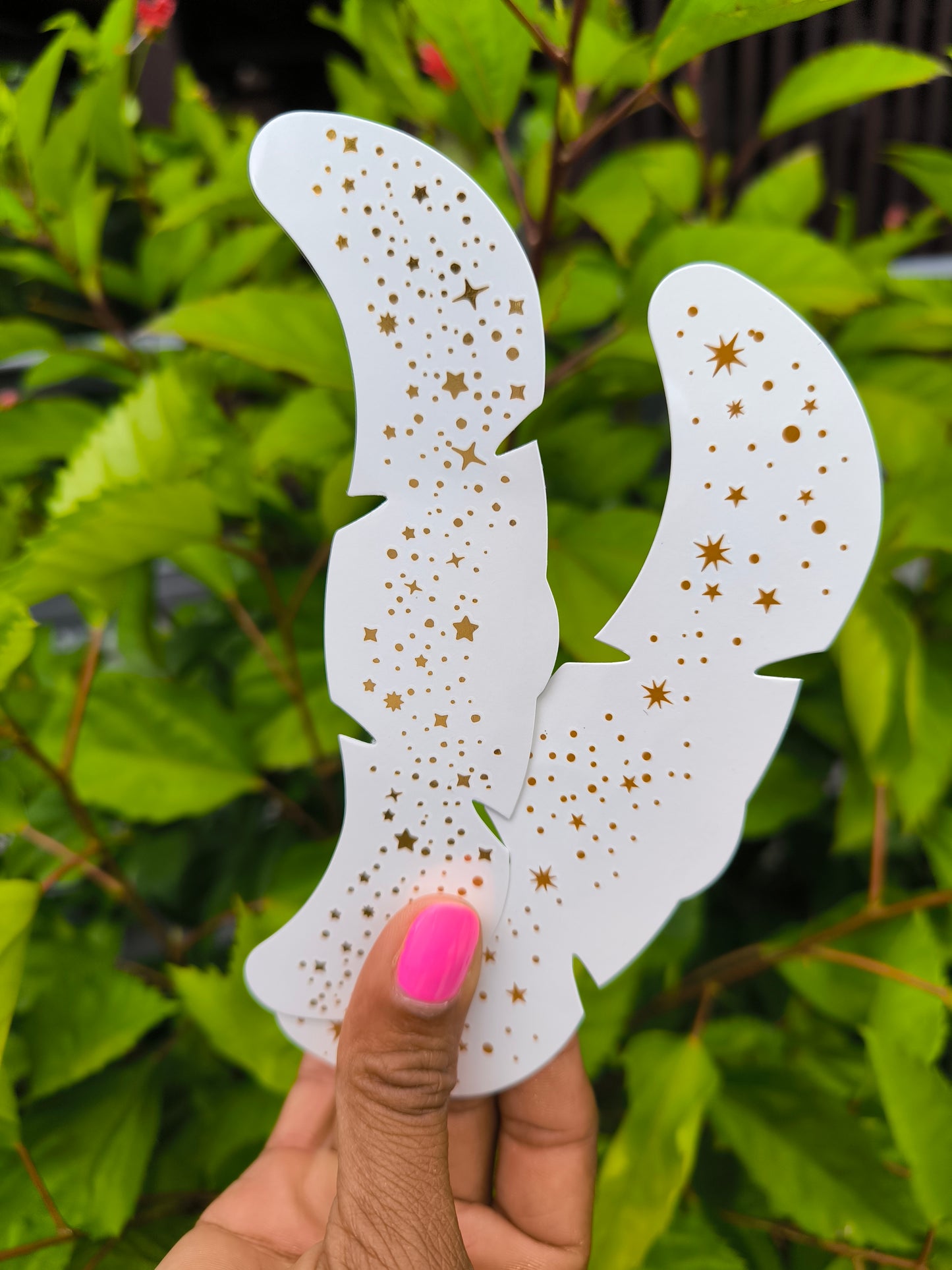 Constellations pailletées
