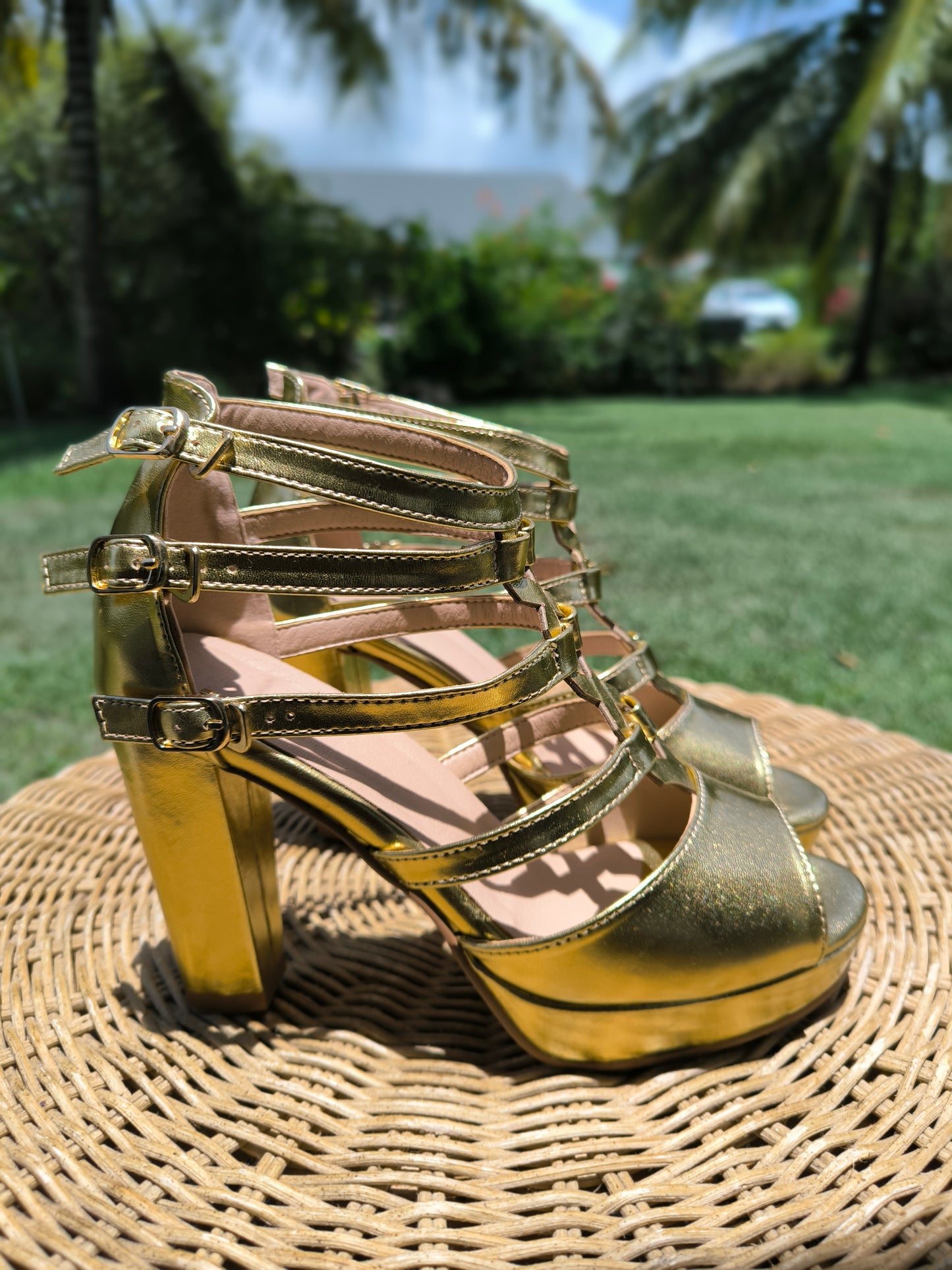 Chaussure de carnaval, disponible en pré-commande