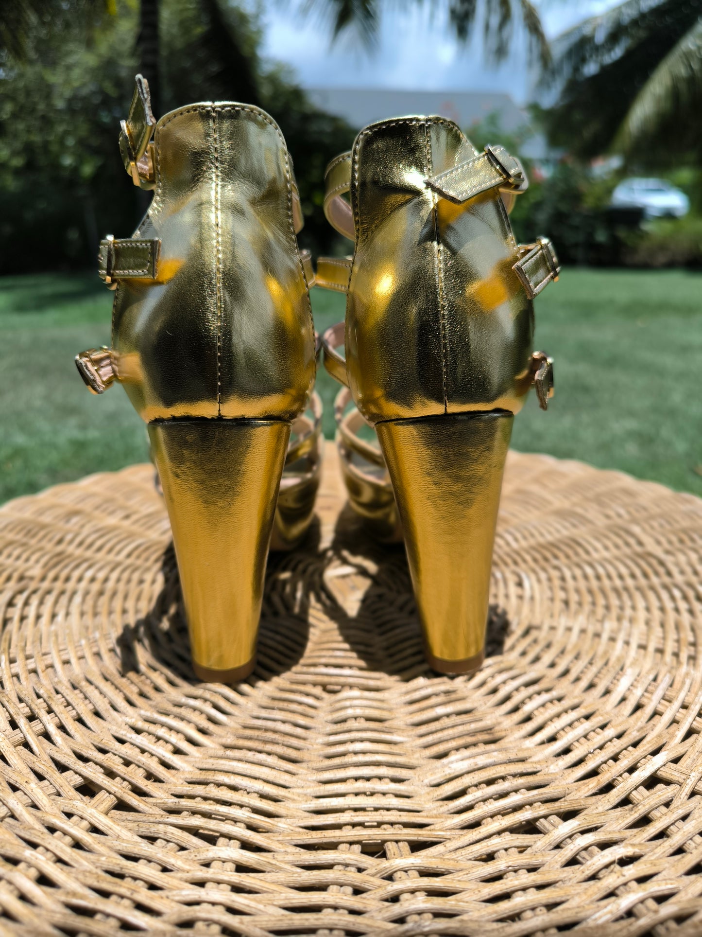 Chaussure de carnaval, disponible en pré-commande